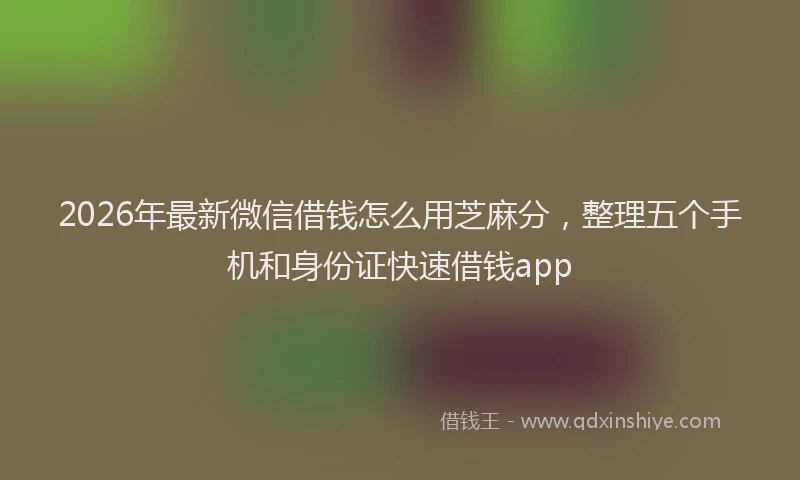 2026年最新微信借钱怎么用芝麻分，整理五个手机和身份证快速借钱app