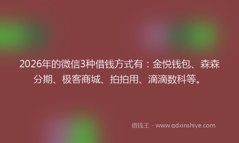 2026年的微信3种借钱方式有：金悦钱包、森森分期、极客商城、拍拍用、滴滴数科等。