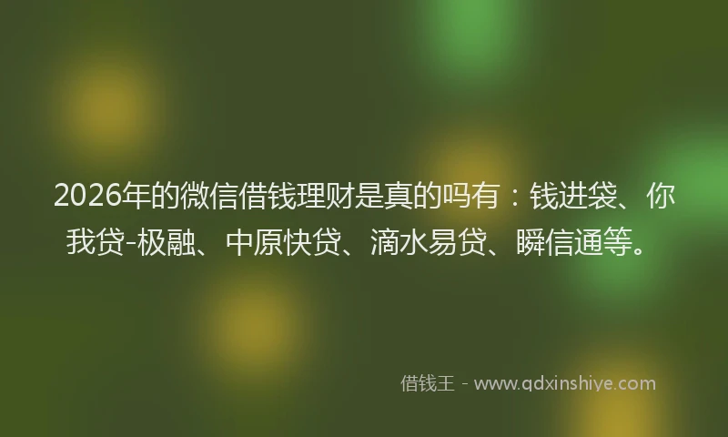 2026年的微信借钱理财是真的吗有：钱进袋、你我贷-极融、中原快贷、滴水易贷、瞬信通等。