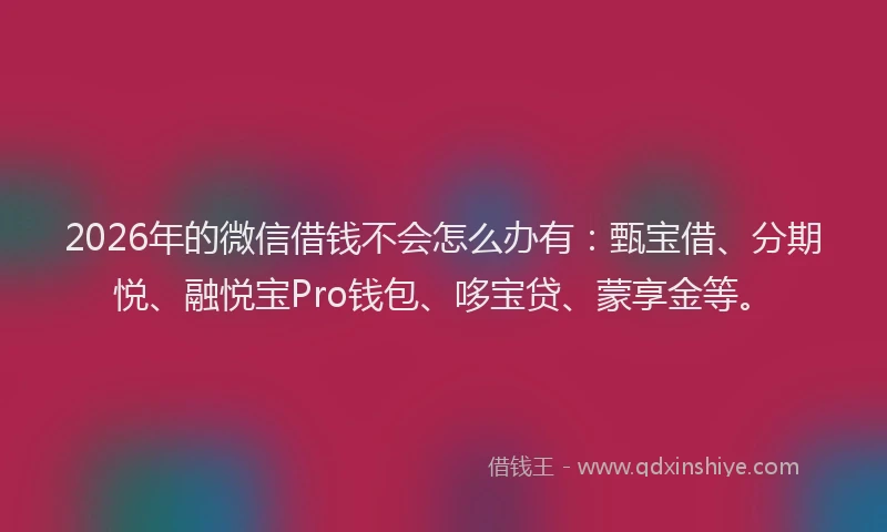 2026年的微信借钱不会怎么办有：甄宝借、分期悦、融悦宝Pro钱包、哆宝贷、蒙享金等。