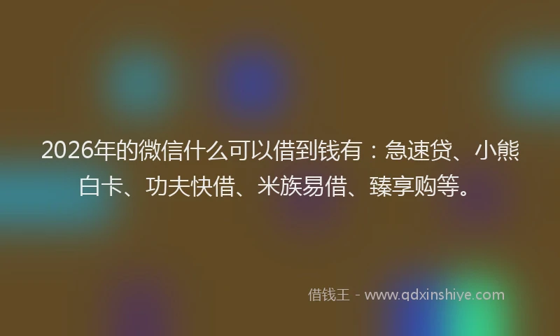 2026年的微信什么可以借到钱有：急速贷、小熊白卡、功夫快借、米族易借、臻享购等。