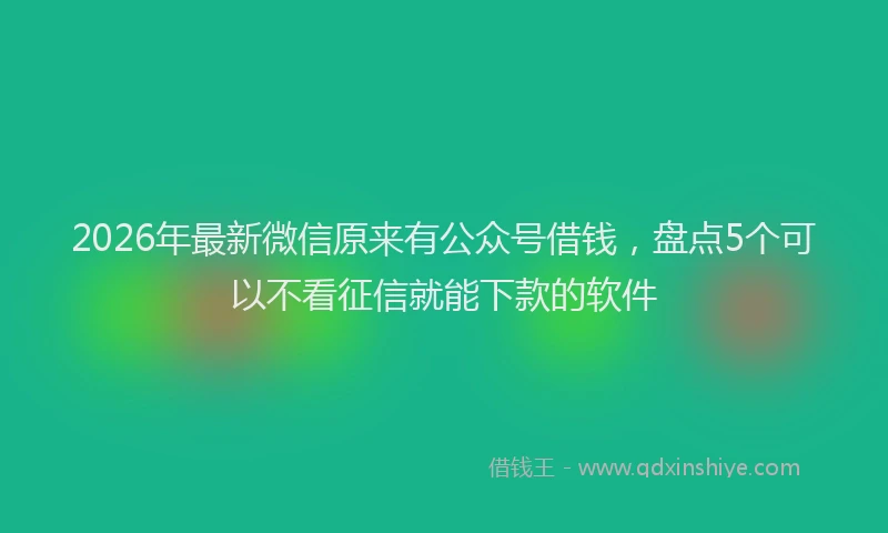 2026年最新微信原来有公众号借钱，盘点5个可以不看征信就能下款的软件