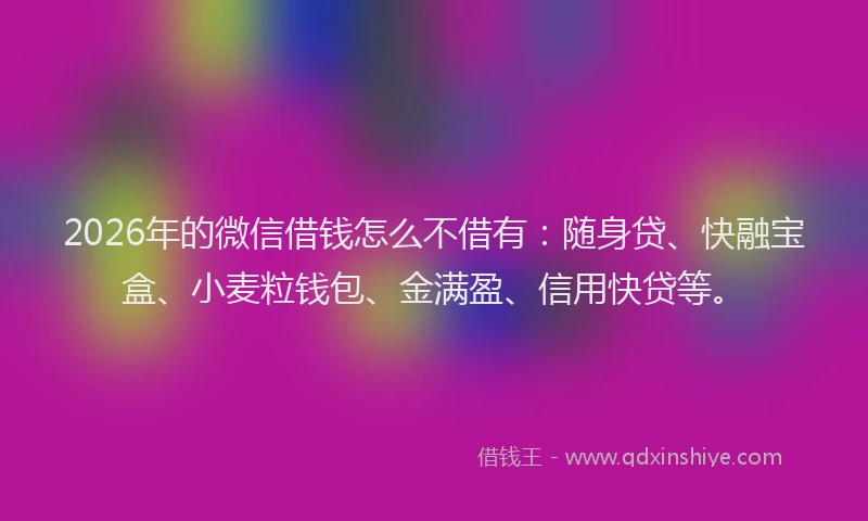 2026年的微信借钱怎么不借有：随身贷、快融宝盒、小麦粒钱包、金满盈、信用快贷等。