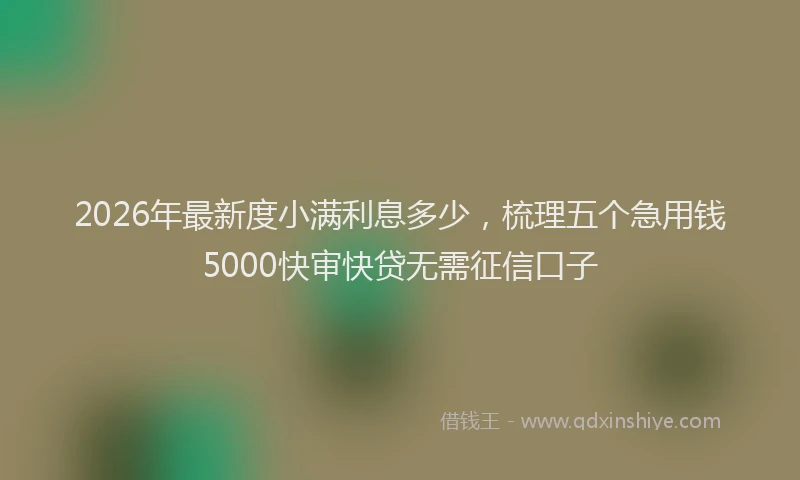 2026年最新度小满利息多少，梳理五个急用钱5000快审快贷无需征信口子