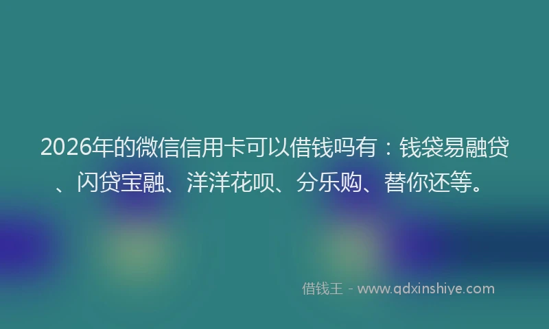 2026年的微信信用卡可以借钱吗有：钱袋易融贷、闪贷宝融、洋洋花呗、分乐购、替你还等。