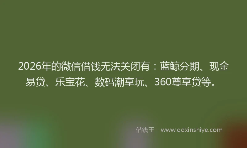 2026年的微信借钱无法关闭有：蓝鲸分期、现金易贷、乐宝花、数码潮享玩、360尊享贷等。