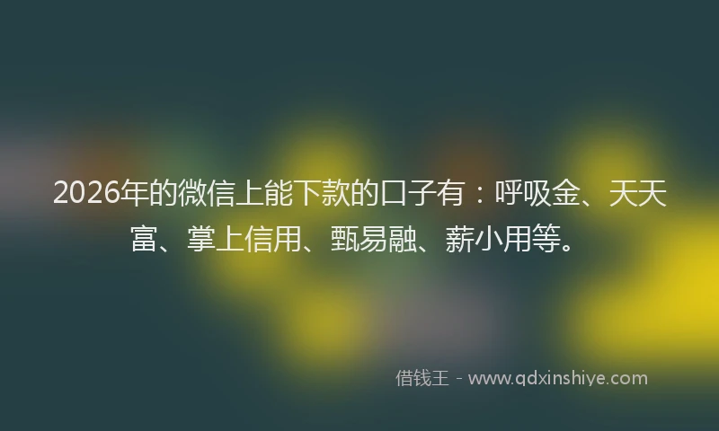 2026年的微信上能下款的口子有：呼吸金、天天富、掌上信用、甄易融、薪小用等。