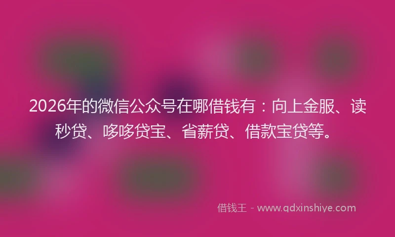 2026年的微信公众号在哪借钱有：向上金服、读秒贷、哆哆贷宝、省薪贷、借款宝贷等。