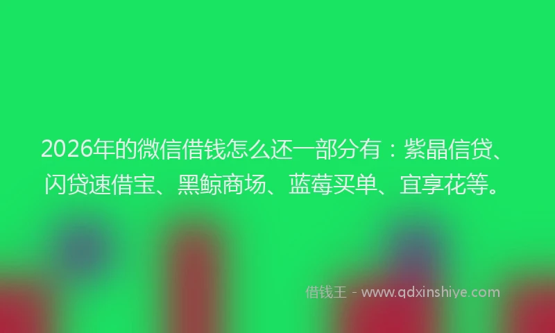 2026年的微信借钱怎么还一部分有：紫晶信贷、闪贷速借宝、黑鲸商场、蓝莓买单、宜享花等。