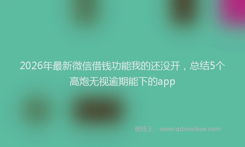 2026年最新微信借钱功能我的还没开，总结5个高炮无视逾期能下的app