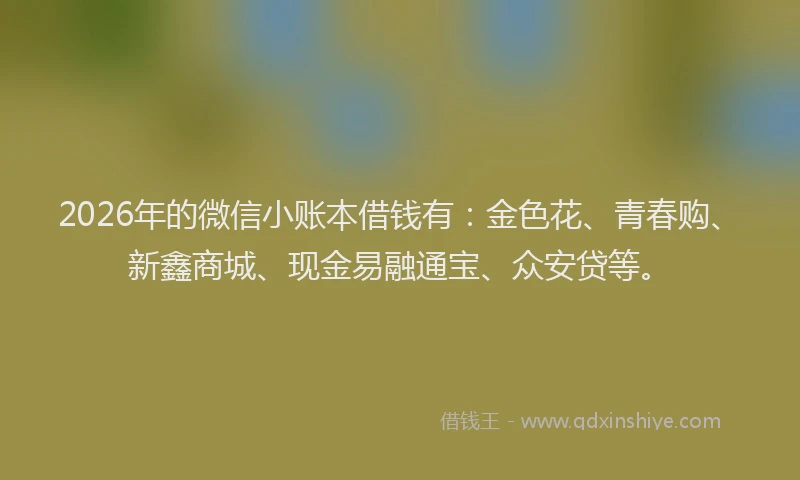 2026年的微信小账本借钱有：金色花、青春购、新鑫商城、现金易融通宝、众安贷等。