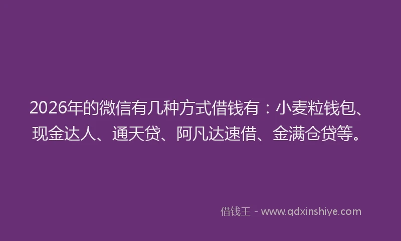 2026年的微信有几种方式借钱有：小麦粒钱包、现金达人、通天贷、阿凡达速借、金满仓贷等。