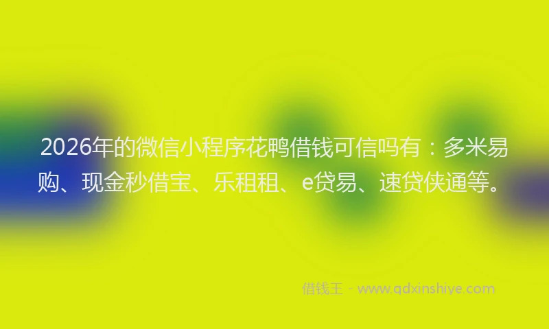 2026年的微信小程序花鸭借钱可信吗有：多米易购、现金秒借宝、乐租租、e贷易、速贷侠通等。