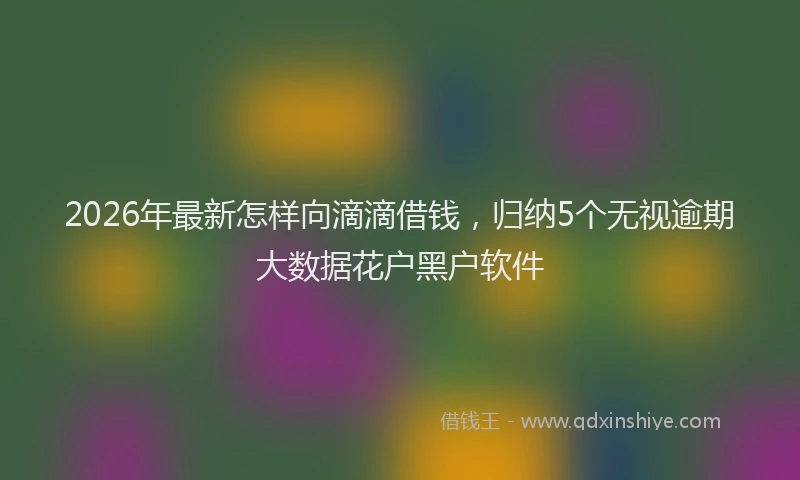 2026年最新怎样向滴滴借钱,归纳5个无视逾期大数据花户黑户软件