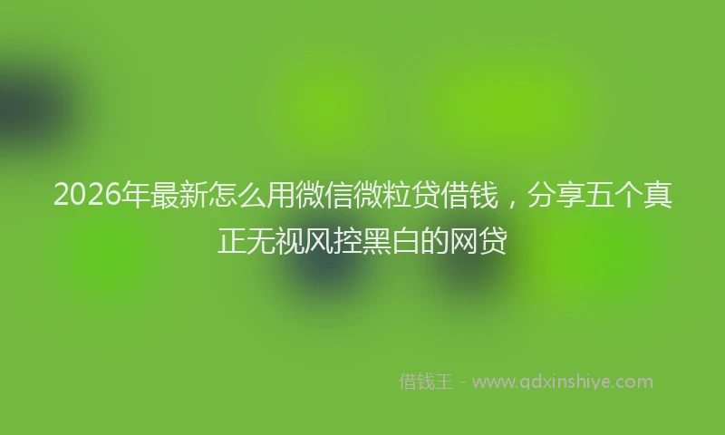 2026年最新怎么用微信微粒贷借钱，分享五个真正无视风控黑白的网贷