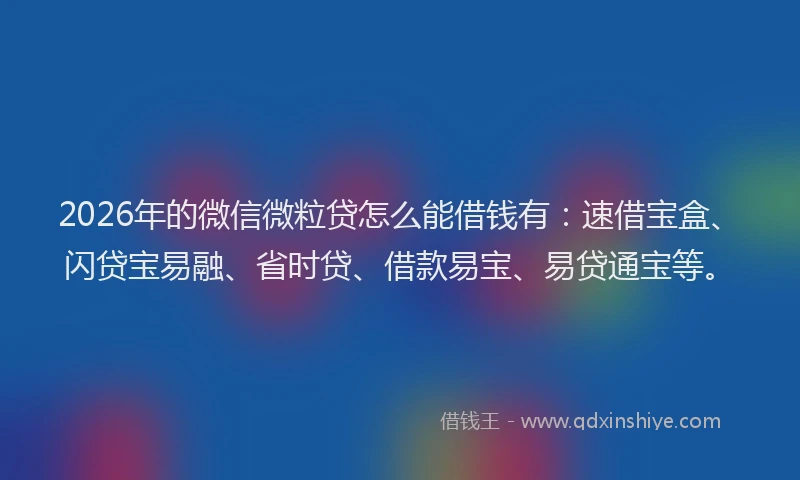 2026年的微信微粒贷怎么能借钱有：速借宝盒、闪贷宝易融、省时贷、借款易宝、易贷通宝等。