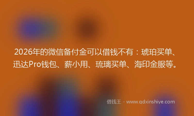 2026年的微信备付金可以借钱不有：琥珀买单、迅达Pro钱包、薪小用、琉璃买单、海印金服等。