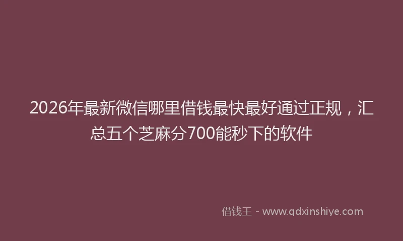 2026年最新微信哪里借钱最快最好通过正规，汇总五个芝麻分700能秒下的软件