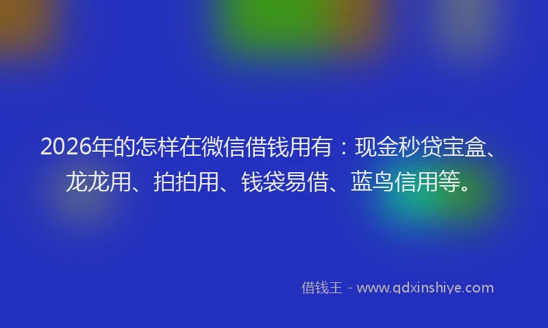 2026年的怎样在微信借钱用有：现金秒贷宝盒、龙龙用、拍拍用、钱袋易借、蓝鸟信用等。