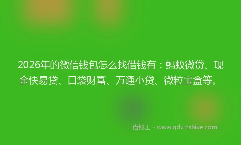 2026年的微信钱包怎么找借钱有：蚂蚁微贷、现金快易贷、口袋财富、万通小贷、微粒宝盒等。