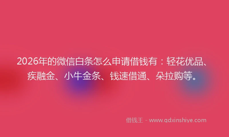 2026年的微信白条怎么申请借钱有：轻花优品、疾融金、小牛金条、钱速借通、朵拉购等。