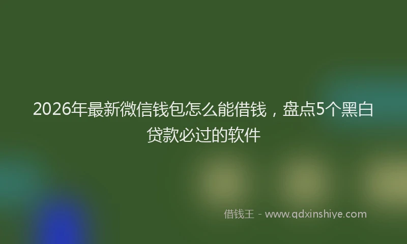 2026年最新微信钱包怎么能借钱，盘点5个黑白贷款必过的软件