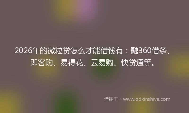2026年的微粒贷怎么才能借钱有:融360借条、即客购、易得花、云易购、快贷通等。