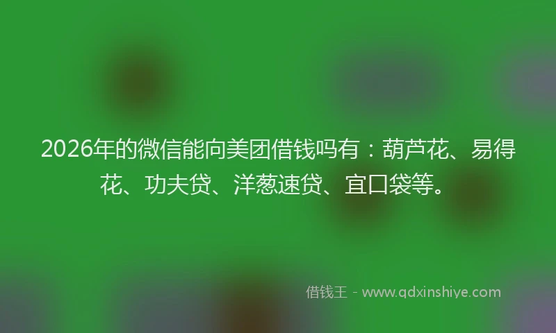 2026年的微信能向美团借钱吗有：葫芦花、易得花、功夫贷、洋葱速贷、宜口袋等。