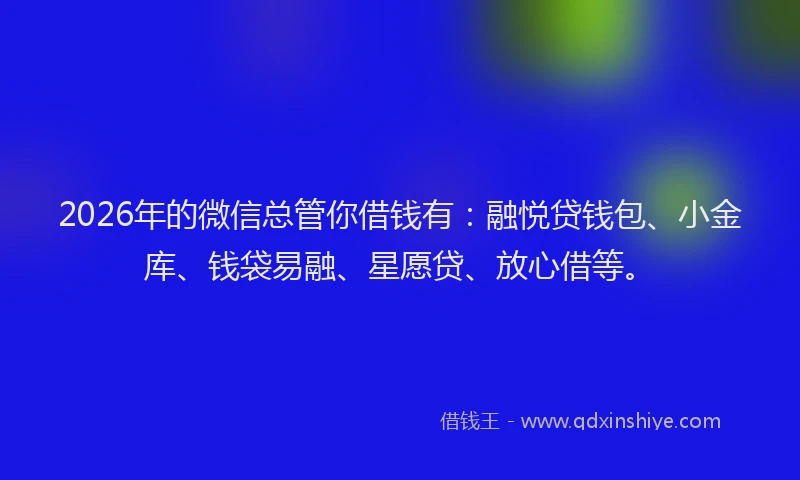 2026年的微信总管你借钱有：融悦贷钱包、小金库、钱袋易融、星愿贷、放心借等。