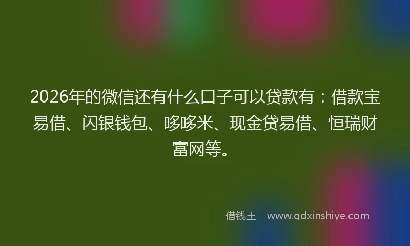 2026年的微信还有什么口子可以贷款有：借款宝易借、闪银钱包、哆哆米、现金贷易借、恒瑞财富网等。