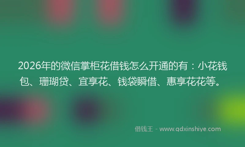 2026年的微信掌柜花借钱怎么开通的有：小花钱包、珊瑚贷、宜享花、钱袋瞬借、惠享花花等。