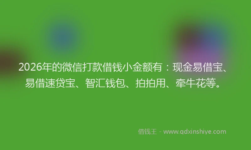 2026年的微信打款借钱小金额有：现金易借宝、易借速贷宝、智汇钱包、拍拍用、牵牛花等。
