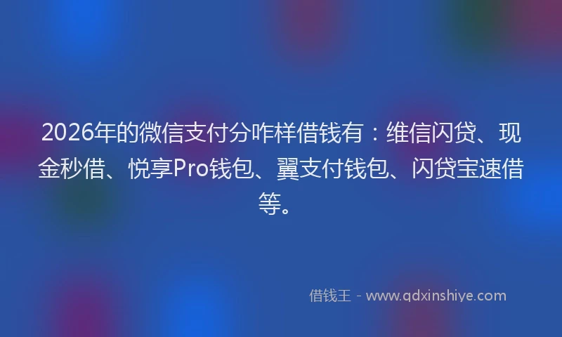 2026年的微信支付分咋样借钱有：维信闪贷、现金秒借、悦享Pro钱包、翼支付钱包、闪贷宝速借等。