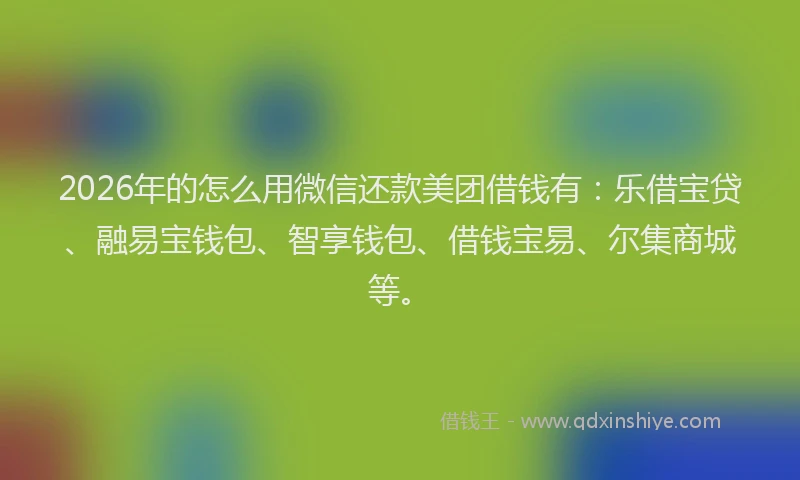 2026年的怎么用微信还款美团借钱有:乐借宝贷、融易宝钱包、智享钱包、借钱宝易、尔集商城等。