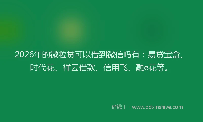 2026年的微粒贷可以借到微信吗有：易贷宝盒、时代花、祥云借款、信用飞、融e花等。