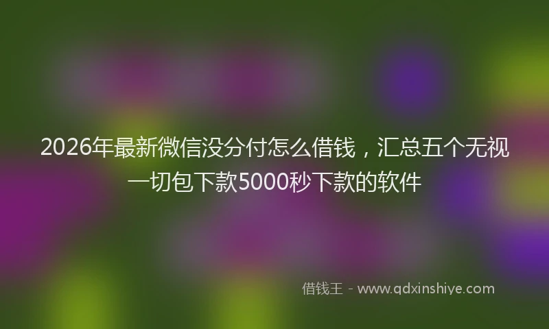 2026年最新微信没分付怎么借钱，汇总五个无视一切包下款5000秒下款的软件