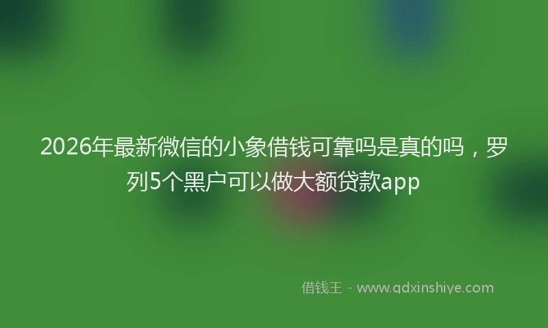 2026年最新微信的小象借钱可靠吗是真的吗，罗列5个黑户可以做大额贷款app