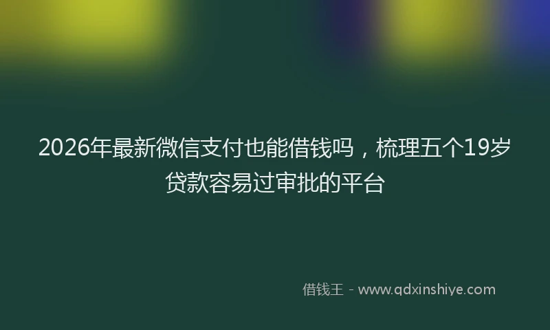2026年最新微信支付也能借钱吗，梳理五个19岁贷款容易过审批的平台