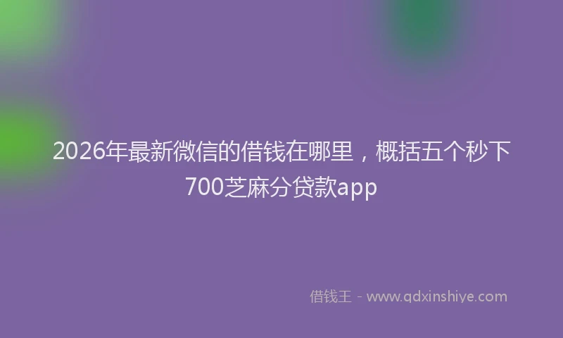 2026年最新微信的借钱在哪里，概括五个秒下700芝麻分贷款app
