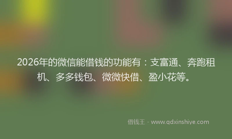 2026年的微信能借钱的功能有：支富通、奔跑租机、多多钱包、微微快借、盈小花等。
