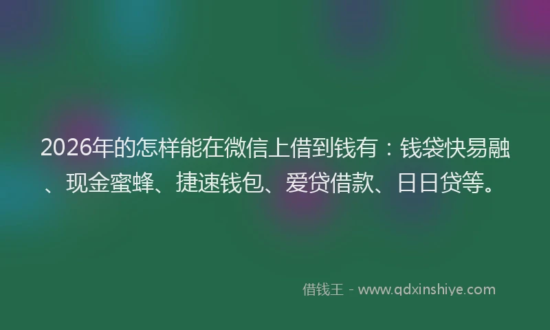 2026年的怎样能在微信上借到钱有:钱袋快易融、现金蜜蜂、捷速钱包、爱贷借款、日日贷等。