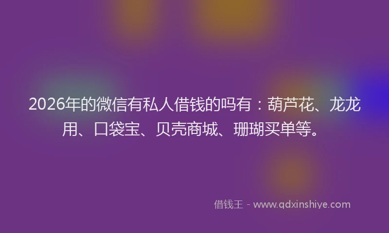 2026年的微信有私人借钱的吗有：葫芦花、龙龙用、口袋宝、贝壳商城、珊瑚买单等。