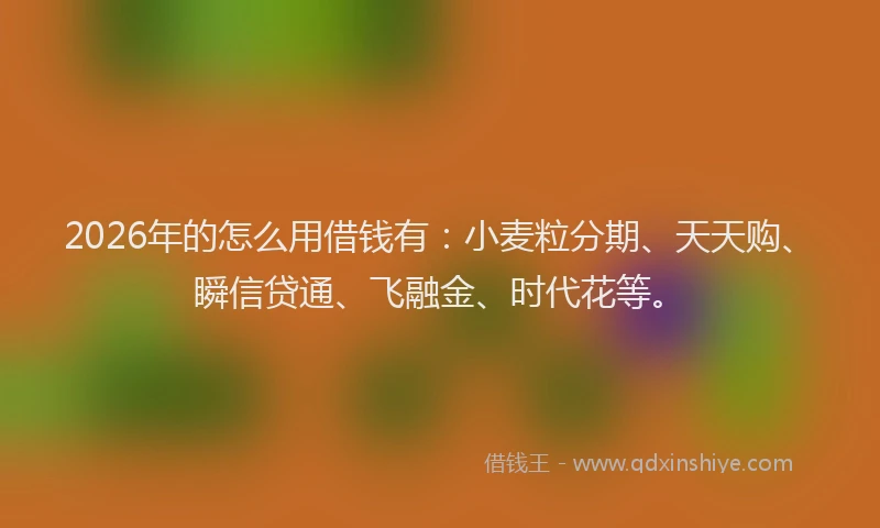 2026年的怎么用借钱有：小麦粒分期、天天购、瞬信贷通、飞融金、时代花等。