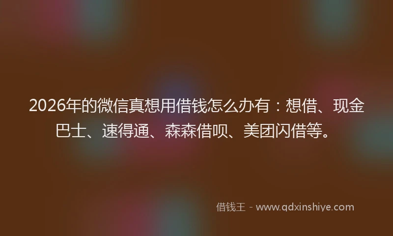 2026年的微信真想用借钱怎么办有：想借、现金巴士、速得通、森森借呗、美团闪借等。