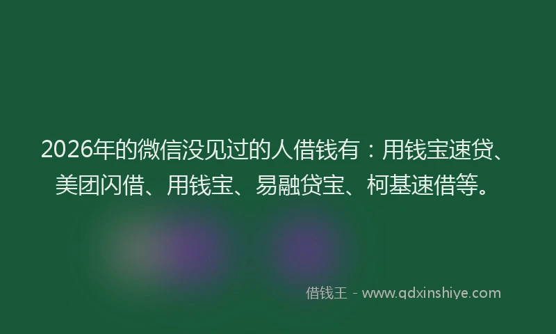2026年的微信没见过的人借钱有：用钱宝速贷、美团闪借、用钱宝、易融贷宝、柯基速借等。