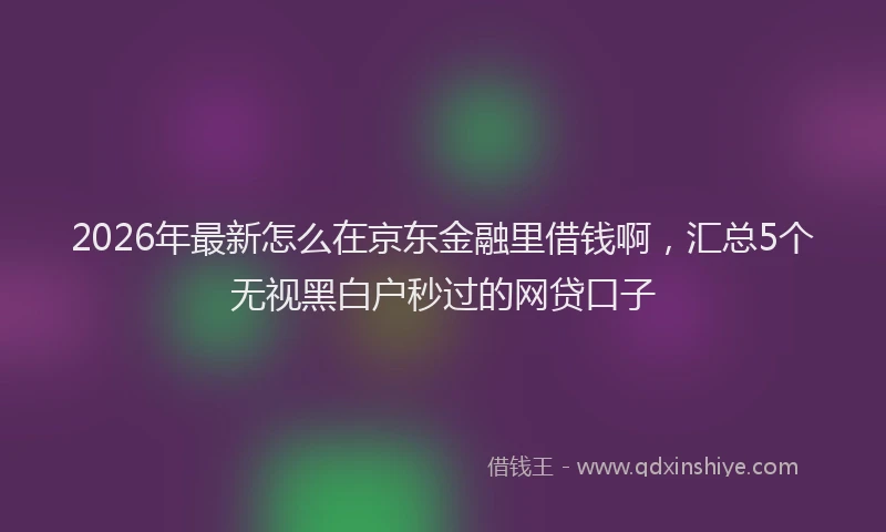 2026年最新怎么在京东金融里借钱啊，汇总5个无视黑白户秒过的网贷口子