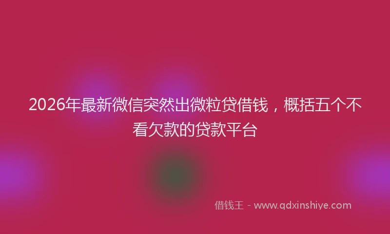 2026年最新微信突然出微粒贷借钱，概括五个不看欠款的贷款平台