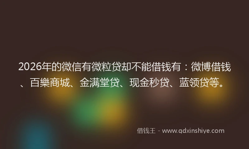 2026年的微信有微粒贷却不能借钱有：微博借钱、百樂商城、金满堂贷、现金秒贷、蓝领贷等。