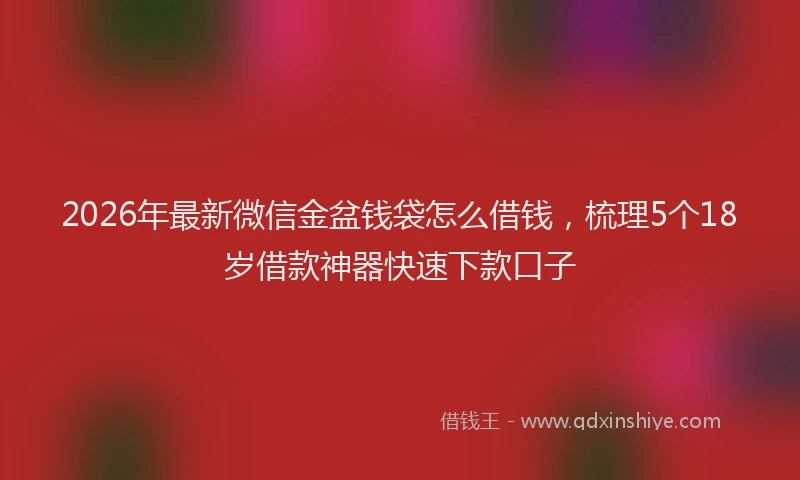2026年最新微信金盆钱袋怎么借钱，梳理5个18岁借款神器快速下款口子