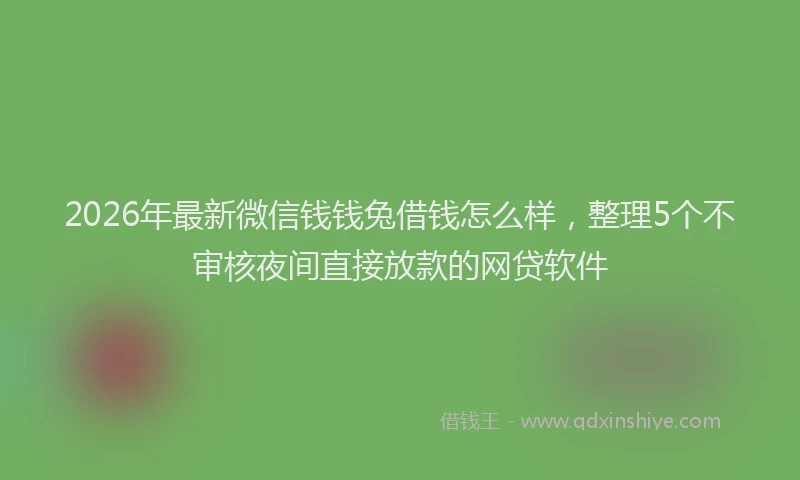 2026年最新微信钱钱兔借钱怎么样，整理5个不审核夜间直接放款的网贷软件